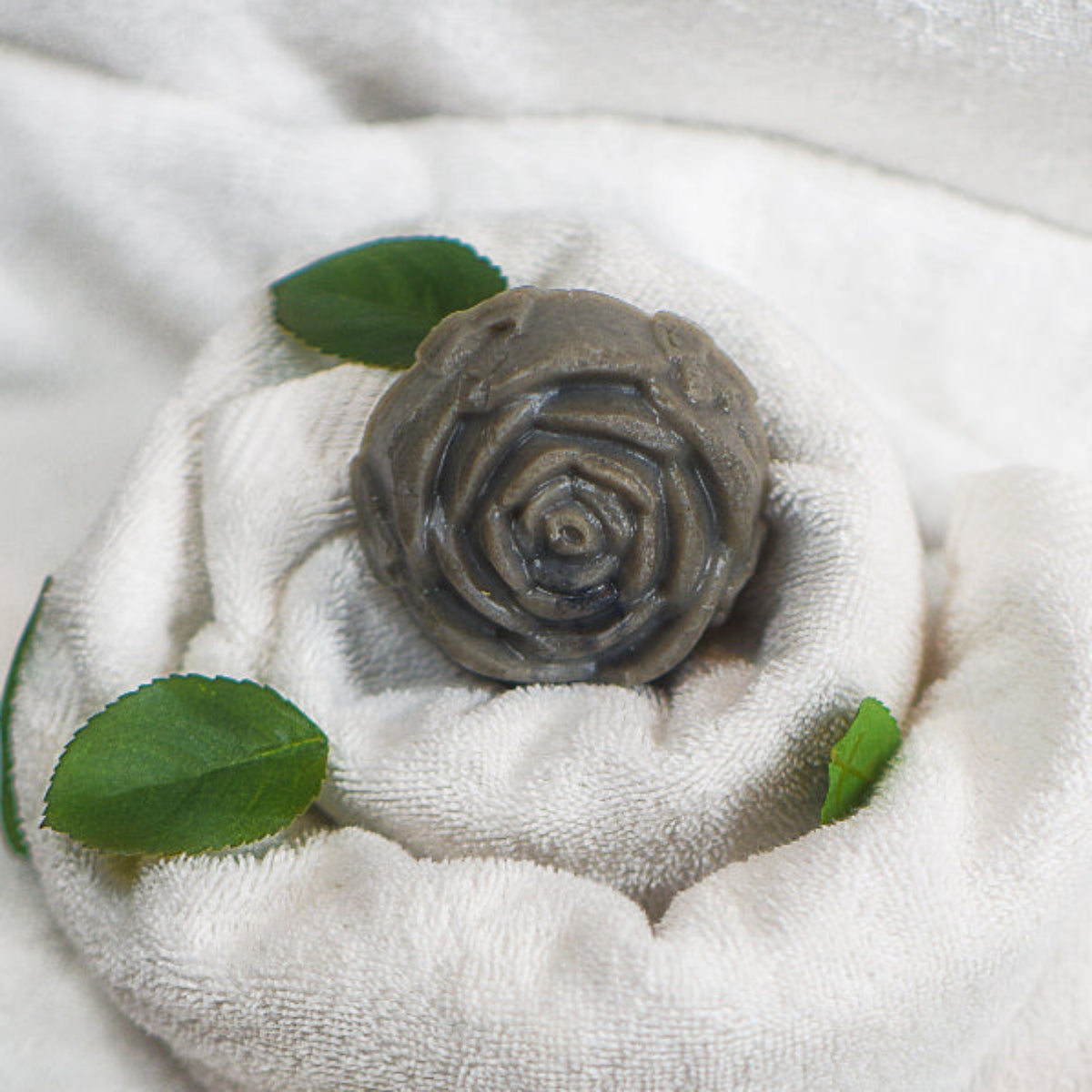 Our Lady's Rose